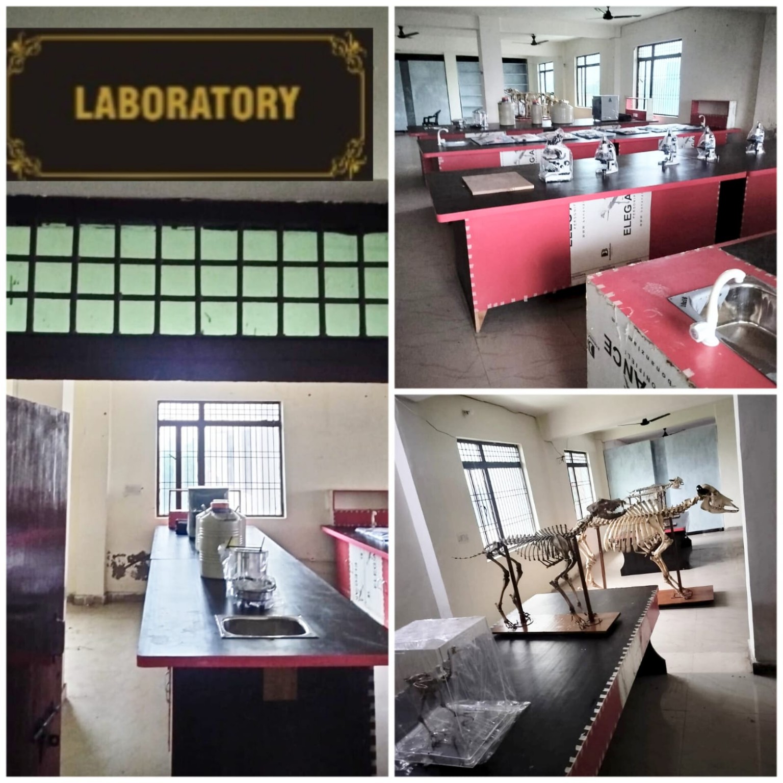 Laboratory