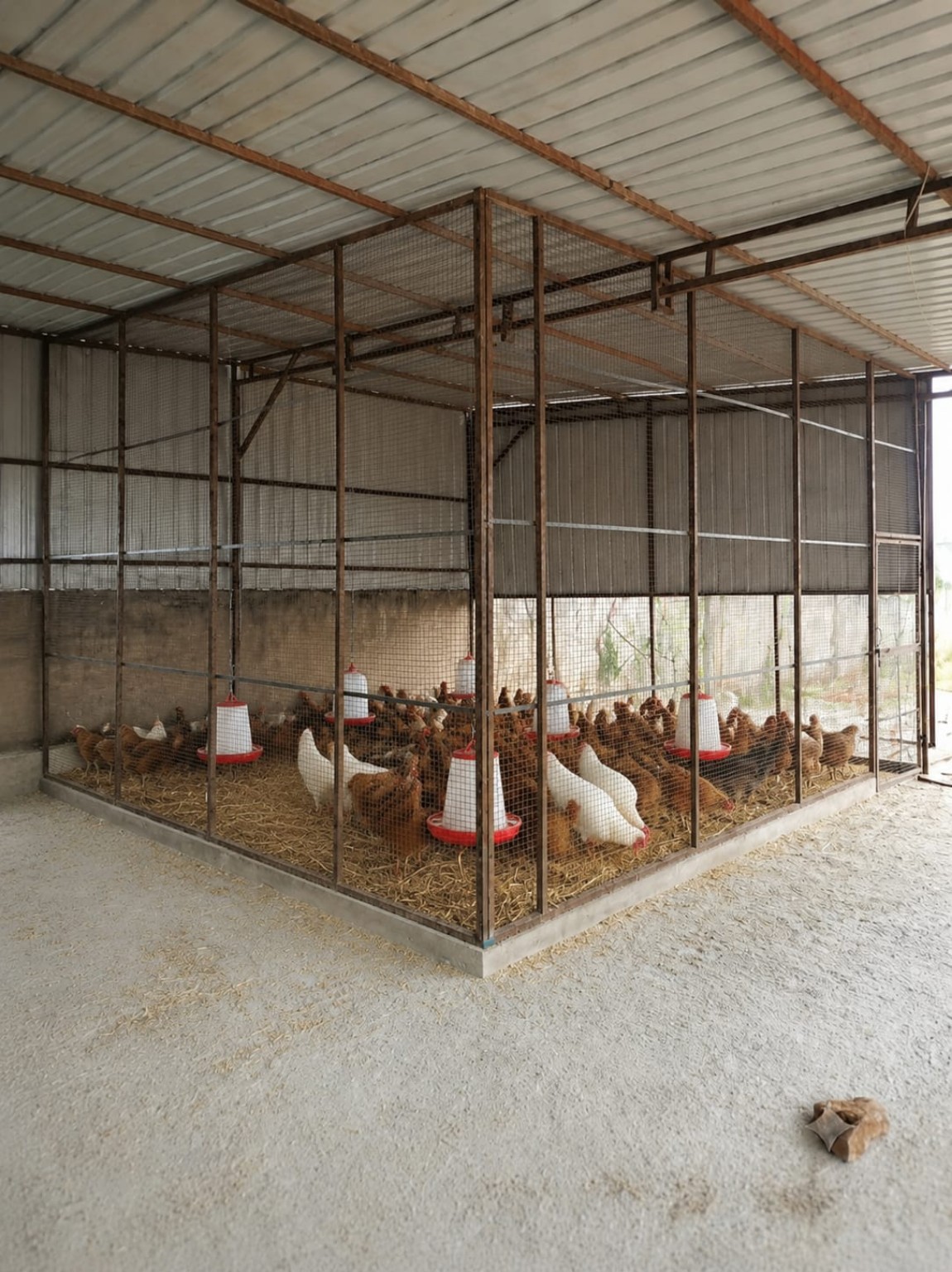 Poultry Farm